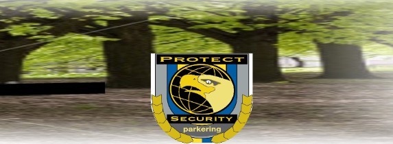 Protect Security Sweden Ltd,  2oo5, logotype